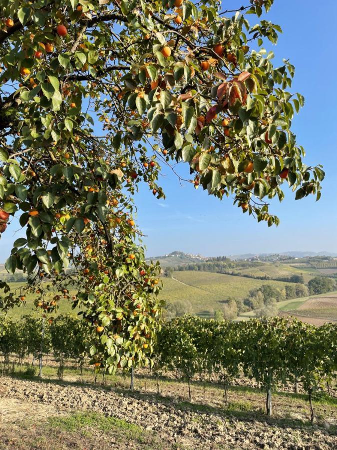 Apartament Locazione Turistica Cascina Pela Castagnole delle Lanze Zewnętrze zdjęcie