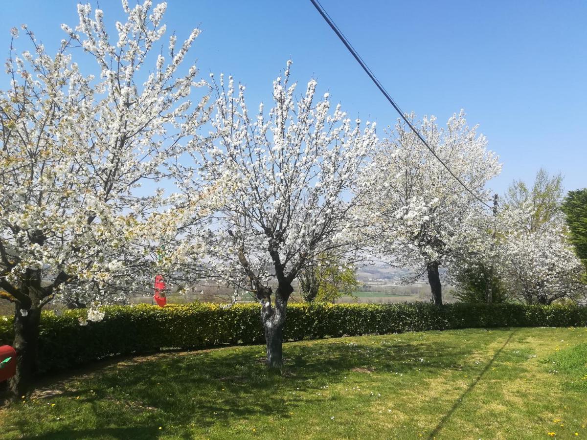 Apartament Locazione Turistica Cascina Pela Castagnole delle Lanze Zewnętrze zdjęcie